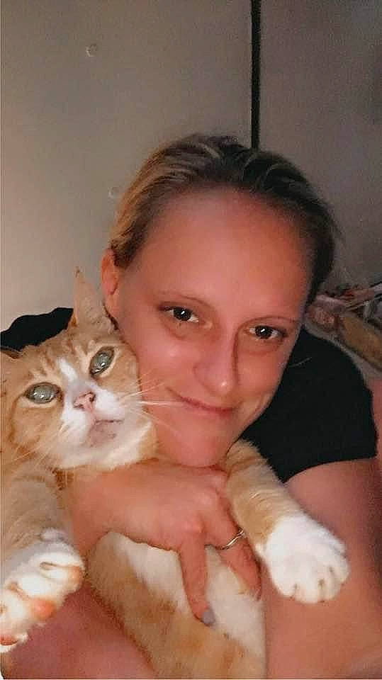 Buddy joined the competition — help win amazing prizes! carnivore, cat, chest, domestic_short_haired_cat, ear, eyebrow, fawn, felidae, fur, gesture, hair, hand, iris, nail, nose, paw, skin, small_to_medium_sized_cats, thumb, whiskers