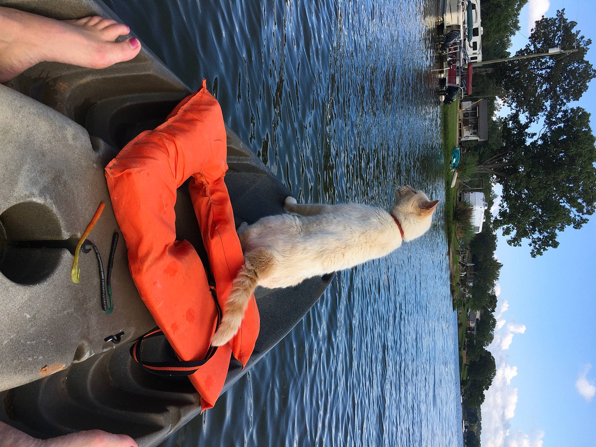 Bubba is registered to the contest to win money with this photo: adventure, boat, boats_and_boating_equipment_and_supplies, elbow, fun, glove, human_leg, lake, leisure, lifejacket, personal_protective_equipment, recreation, reflection, shorts, sky, tree, vacation, vehicle, water, watercraft