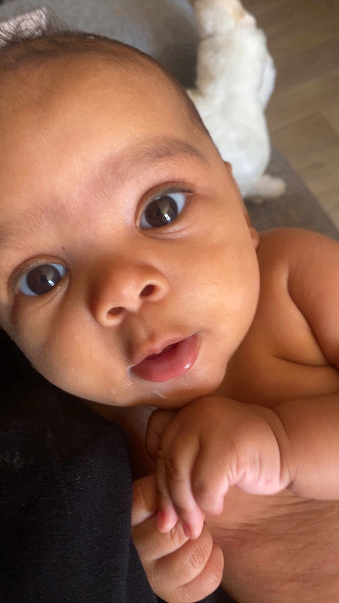 Maël a rejoint le concours — aidez-le/la à gagner de superbes lots ! baby, close_up, face, skin, eyes, hands, infant, child, cute, expression, curious, portrait, indoor, person, newborn, soft, adorable, young, human, chubby
