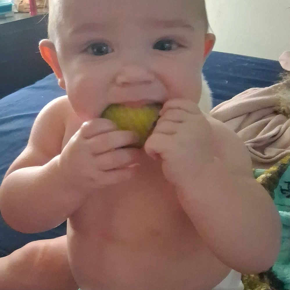 Adam joined the competition — help win amazing prizes! baby, child, diaper, fruit, green_fruit, bed, blanket, indoors, cute, nibbling, hand, face, skin, smiling, sitting, person, infant, young_child, curious, soft_lighting