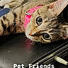 Jasper is registered to the contest to win money with this photo: