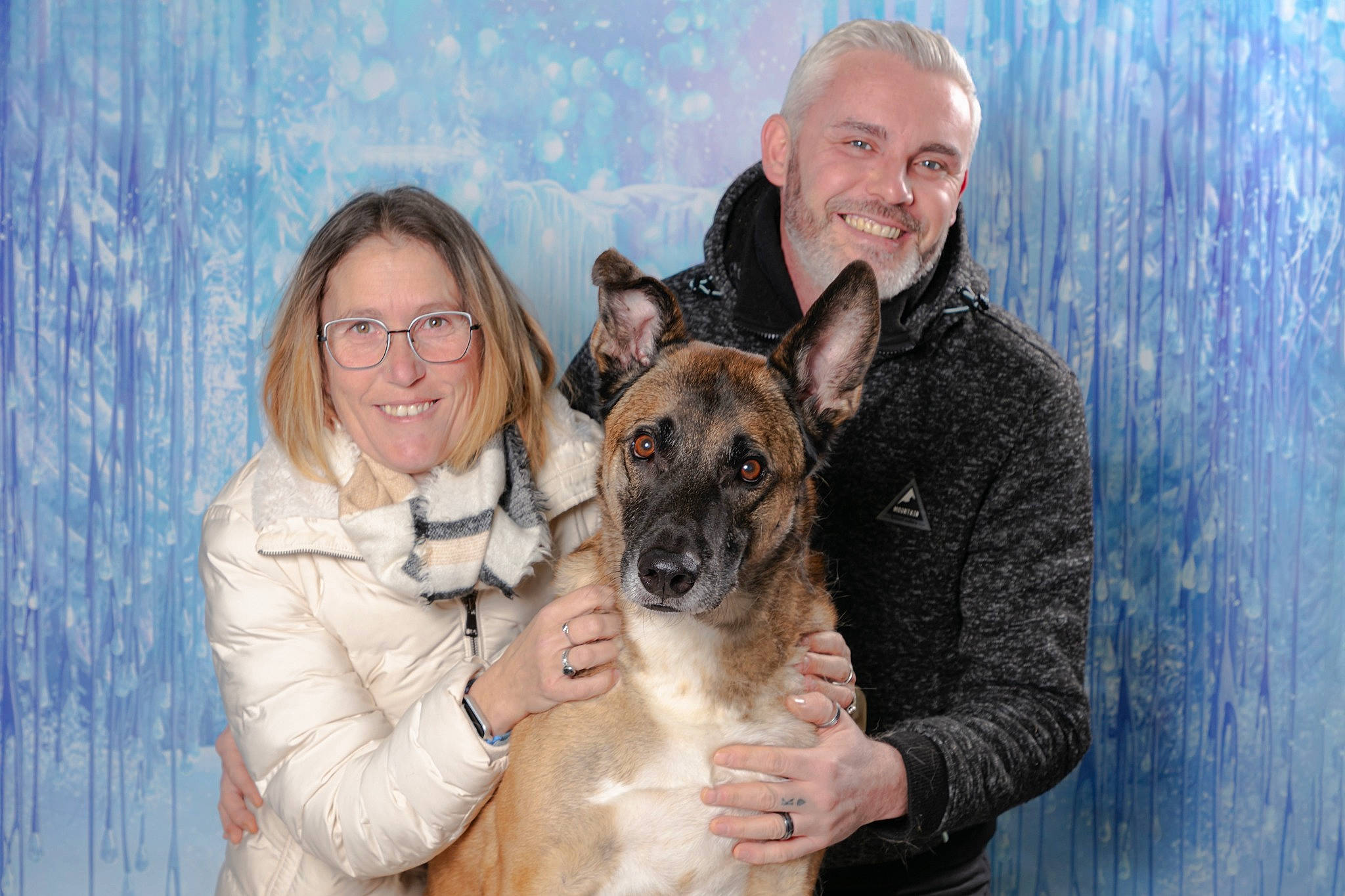 Mikay participe au concours pour gagner de l'argent avec cette photo : canidae, carnivore, companion_dog, dog, dog_breed, event, eye, fawn, fun, fur, giant_dog_breed, happy, herding_dog, leisure, organ, selfie, sky, smile, snout, sporting_group