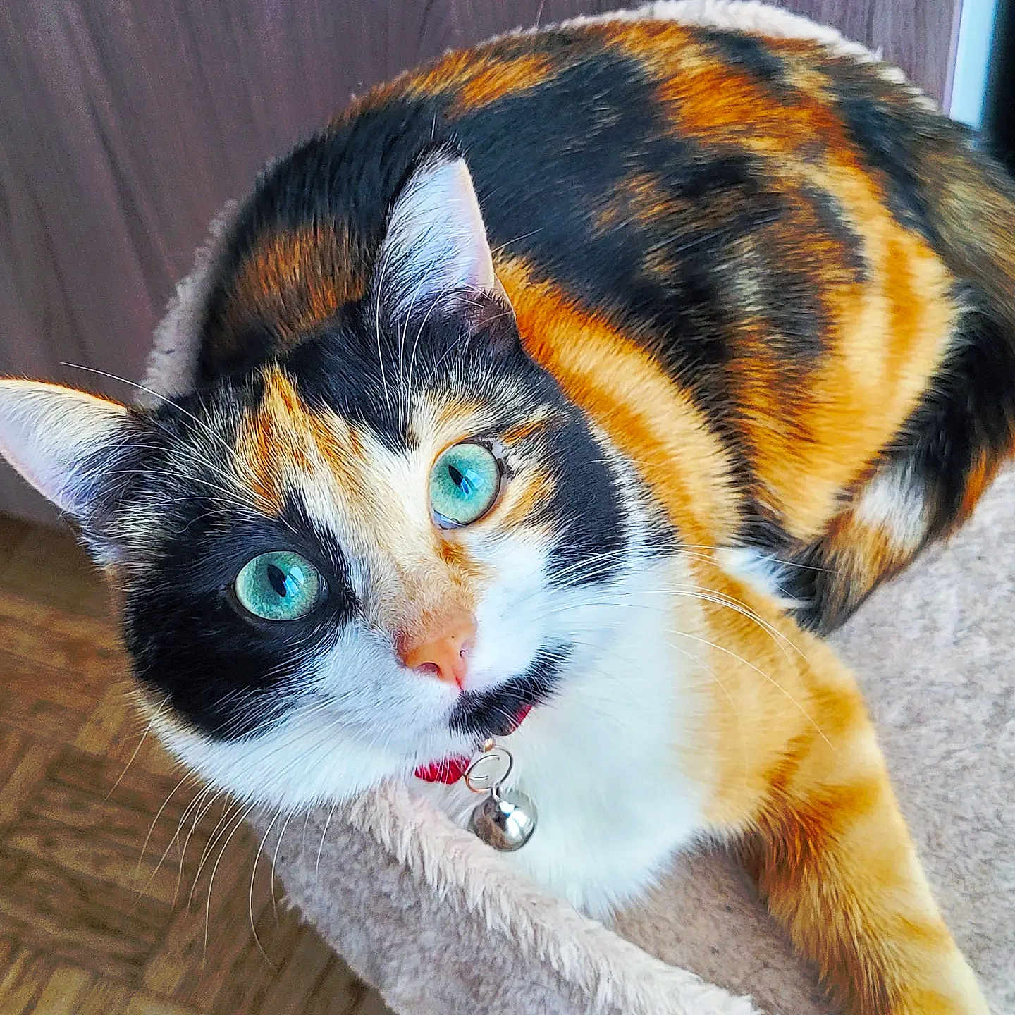 Pepper