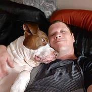 Achilles is registered to the contest to win money with this photo: affection, animal, brown_and_white, casual, closeup, clothing, comfort, companion, couch, dog, earring, friendship, human, indoor, leisure, man, pet, portrait, relaxation, smile