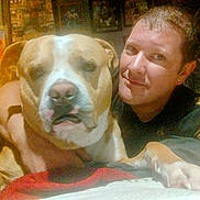 Hercules joined the competition — help win amazing prizes! animal, brown_dog, closeup, couch, cozy, dog, face, friendship, furniture, home, indoor, lamp, light, man, person, pet, portrait, relaxing, smile, wall_art