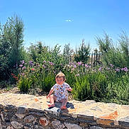 Maël participe au concours pour gagner de l'argent avec cette photo : baby, blue_sky, casual_clothing, child, curious, daytime, flowers, garden, greenery, nature, outdoor, plants, portrait, scenery, shrubbery, sitting, stone_wall, summer, sunlight, toddler
