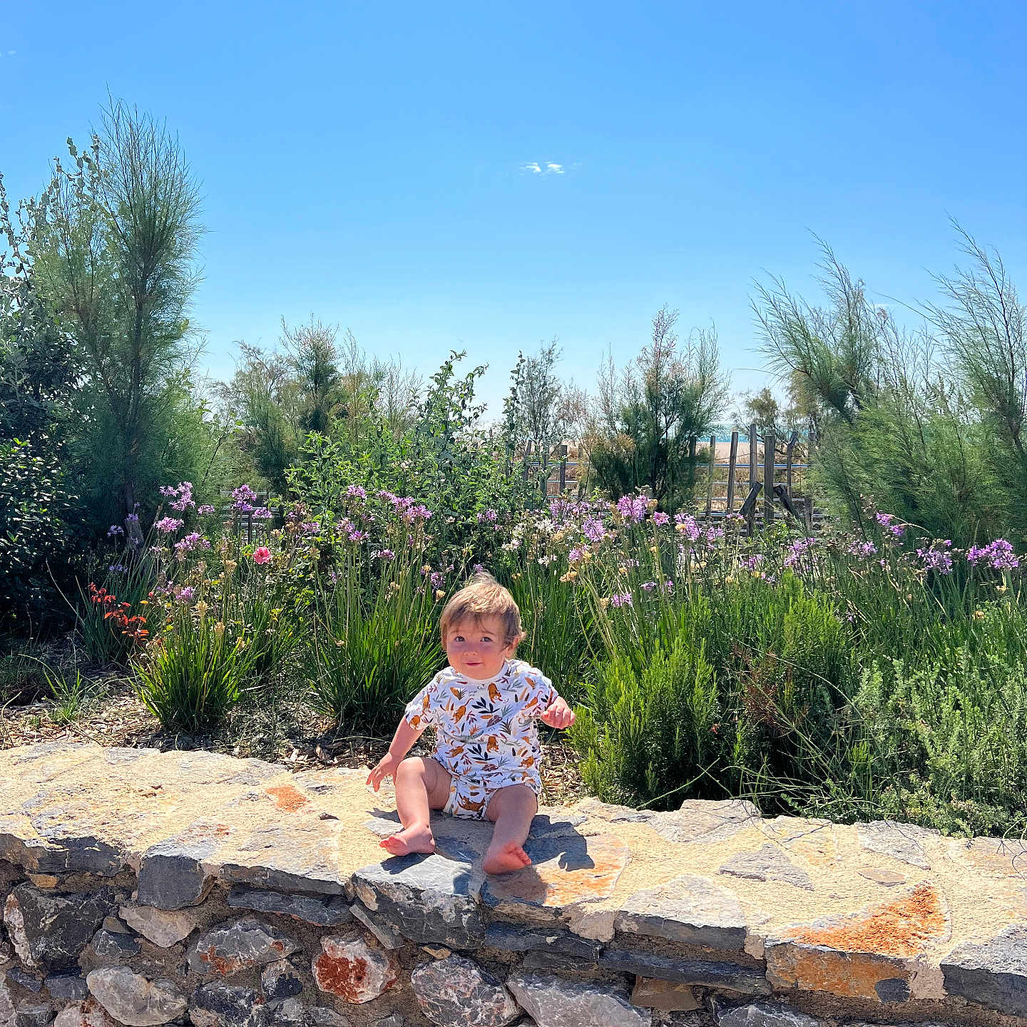 Maël participe au concours pour gagner de l'argent avec cette photo : baby, blue_sky, casual_clothing, child, curious, daytime, flowers, garden, greenery, nature, outdoor, plants, portrait, scenery, shrubbery, sitting, stone_wall, summer, sunlight, toddler