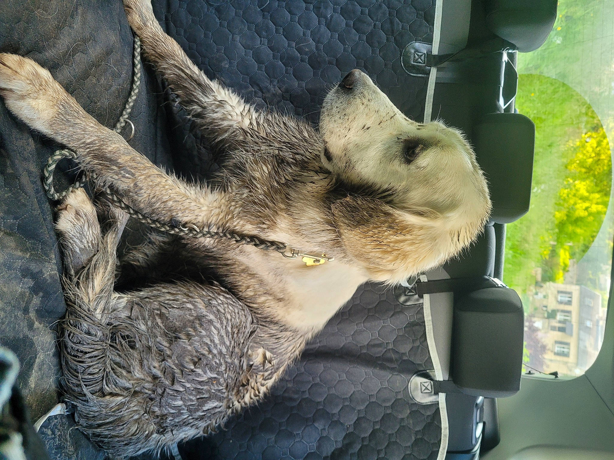 Tala a rejoint le concours — aidez-le/la à gagner de superbes lots ! automotive_mirror, automotive_window_part, car, claw, fawn, fur, organism, plant, rear_view_mirror, sloth, snout, tail, terrestrial_animal, tree, trunk, vehicle, vehicle_door, wildlife, windshield, wood