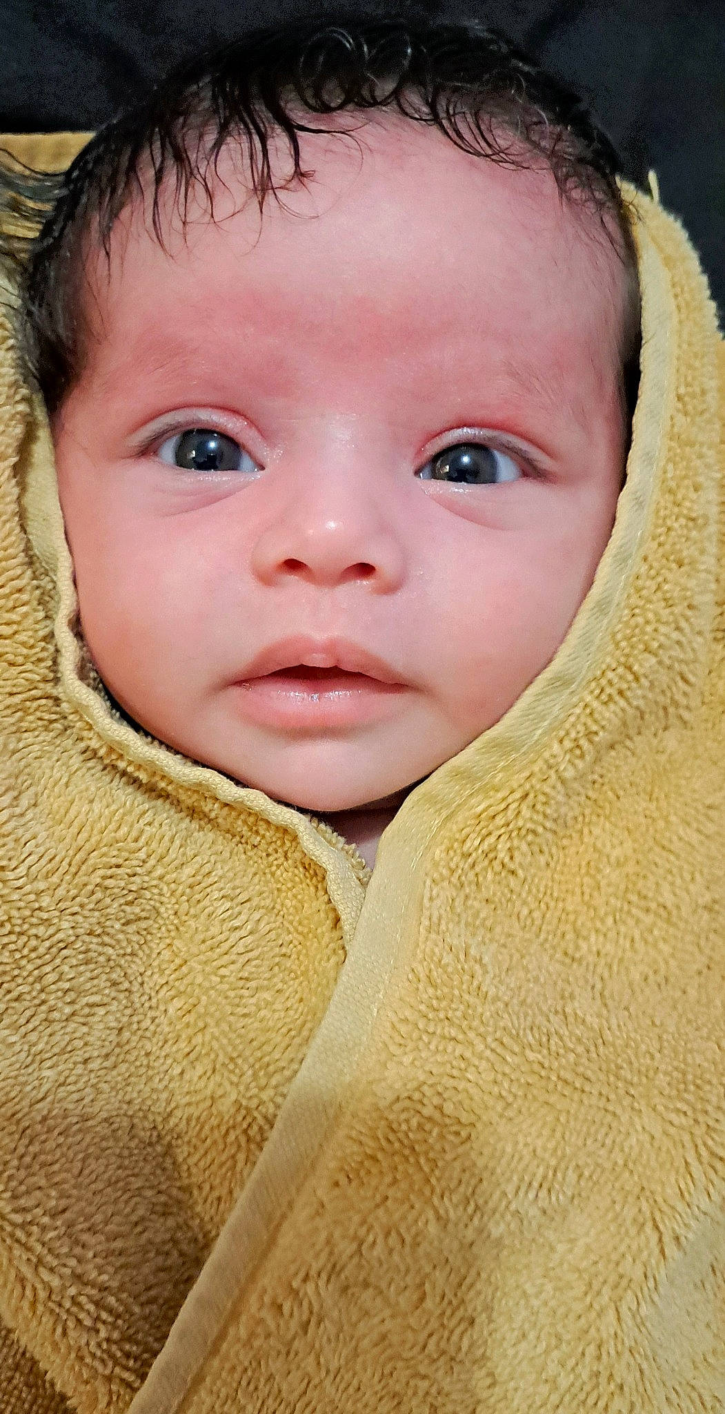 Rosa'Lyn is registered to the contest to win money with this photo: baby, cheek, child, chin, eyebrow, eyelash, flash_photography, fun, fur, grass, happy, iris, lip, no_expression, nose, person, portrait_photography, skin, sleeve, toddler