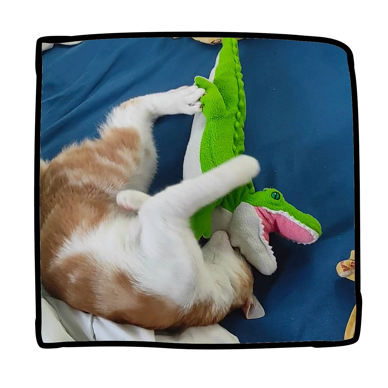 Taro a rejoint le concours — aidez-le/la à gagner de superbes lots ! _geese_and_swans, comfort, communication_device, display_device, ducks, electronic_device, fashion_accessory, flat_panel_display, fur, gadget, gesture, linens, output_device, paw, photo_caption, rectangle, square, technology, waterfowl