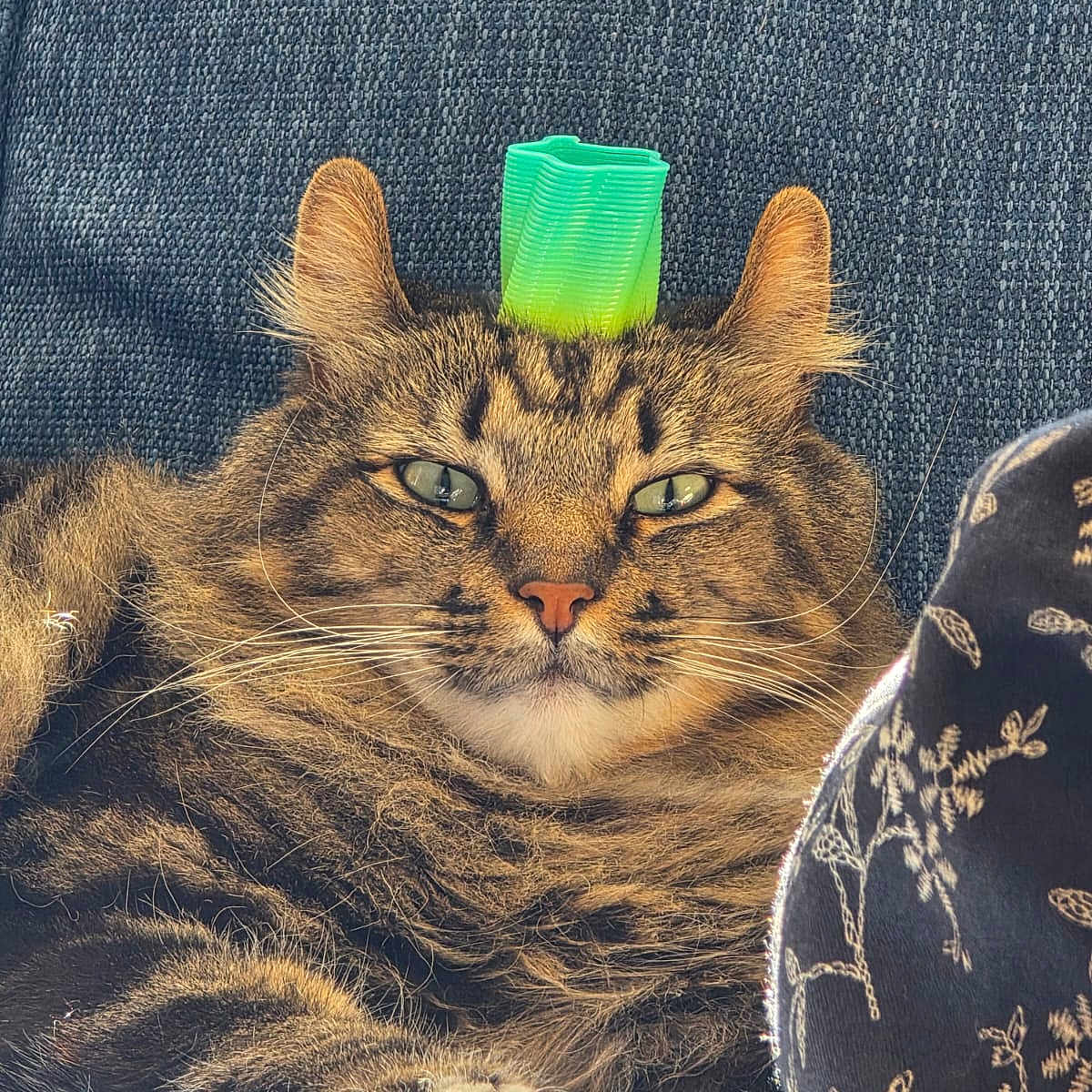 Spock