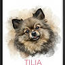 dog, portrait, watercolor, digital_art, fluffy, cute, pet, animal, face, ears, tongue, brown, gray, beige, artistic, illustration, painting, frame, text_overlay, name