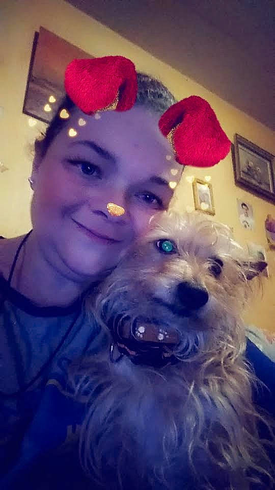 Nougat a rejoint le concours — aidez-le/la à gagner de superbes lots ! cap, carnivore, christmas, christmas_ornament, companion_dog, costume_hat, dog, dog_breed, electric_blue, event, fur, happy, hat, holiday, picture_frame, small_terrier, smile, sporting_group, terrier, toy_dog