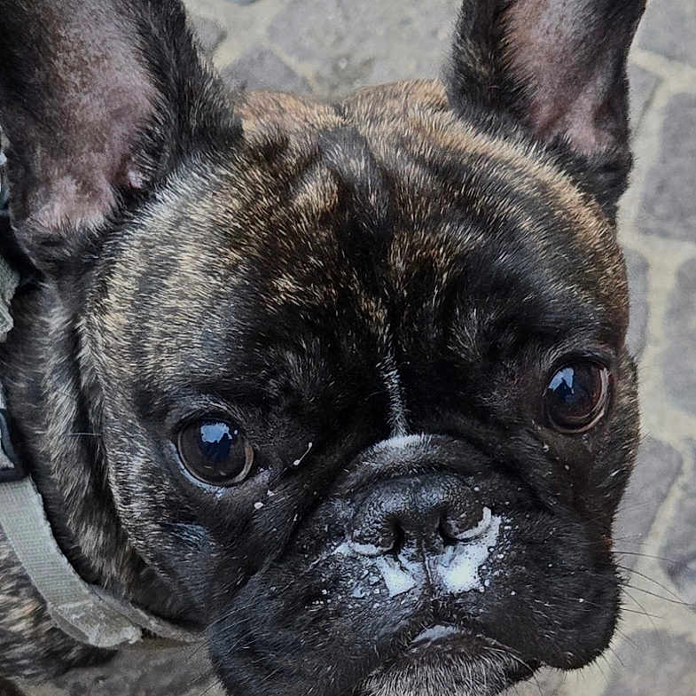 Carlos