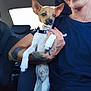 person, dog, car_interior, tattoo, smile, pet, animal, seat, collar, ear, hand, holding, window, casual_clothing, short_hair, lip_piercing, light, shadow, sitting, closeup