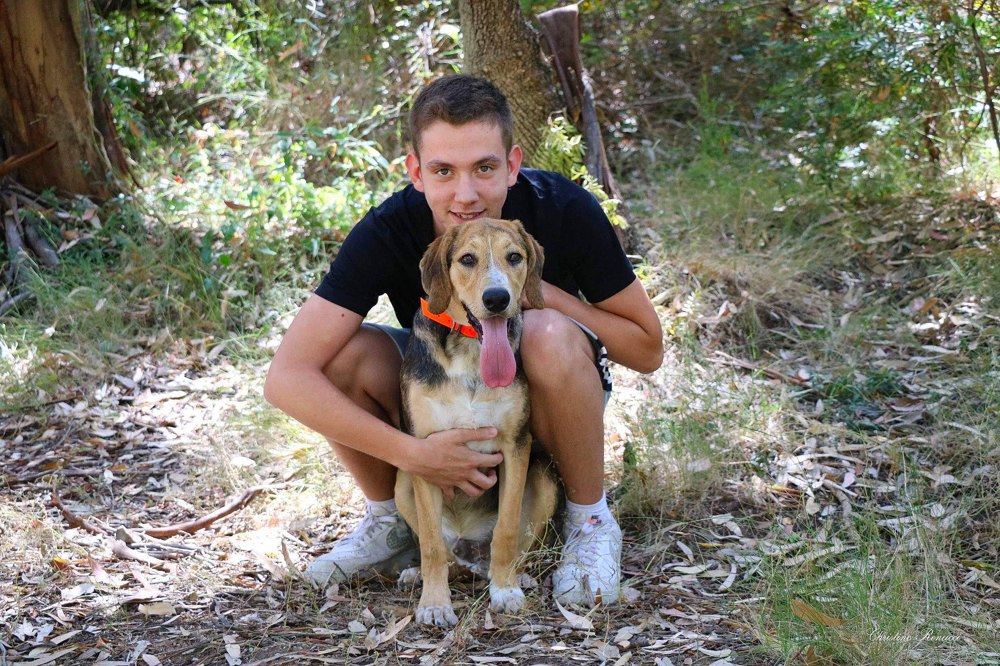 Orsu participe au concours pour gagner de l'argent avec cette photo : adventure, canidae, carnivore, companion_dog, dog, dog_breed, dog_hiking, fawn, forest, fun, hound, jungle, leisure, plant, recreation, sitting, sporting_group, trail, tree, woodland