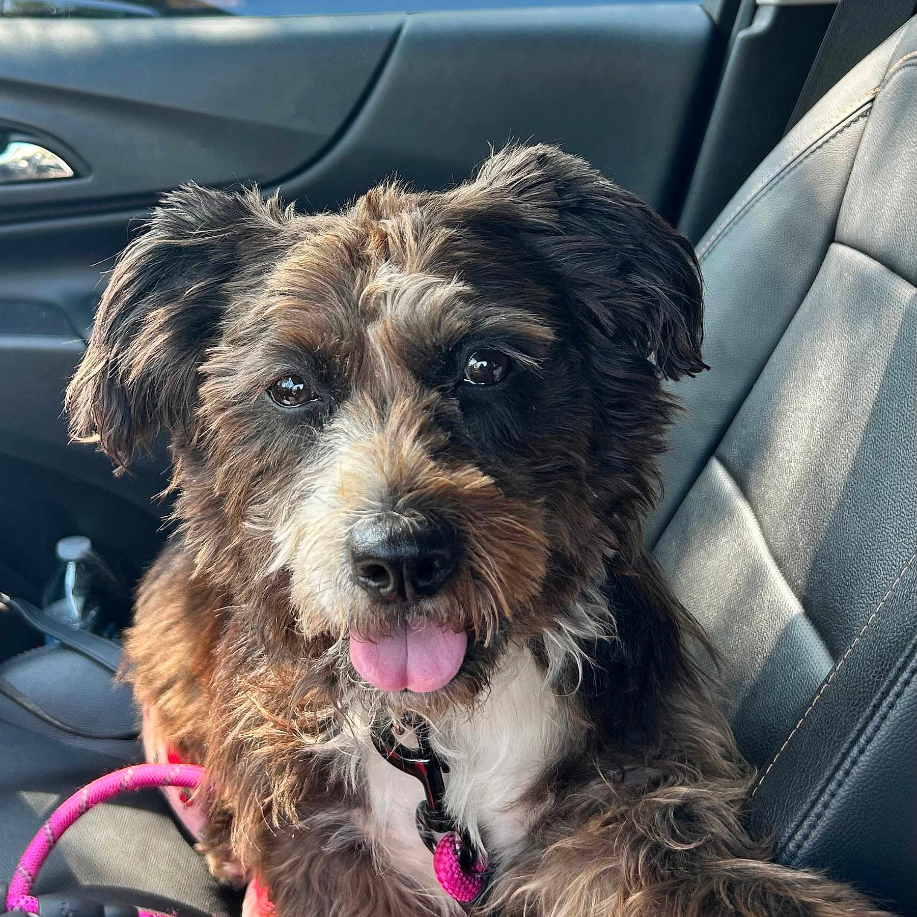 Kahlua