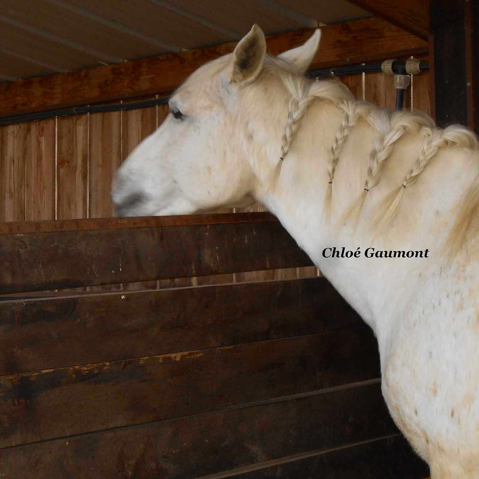 Késéa a rejoint le concours — aidez-le/la à gagner de superbes lots !