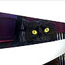 animal, black_cat, cage, carrier, cat, close_up, curious, face, feline, fur, outdoor, pet, photography, plant, portrait, purple, slats, whiskers, white, yellow_eyes