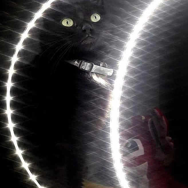 Oscar