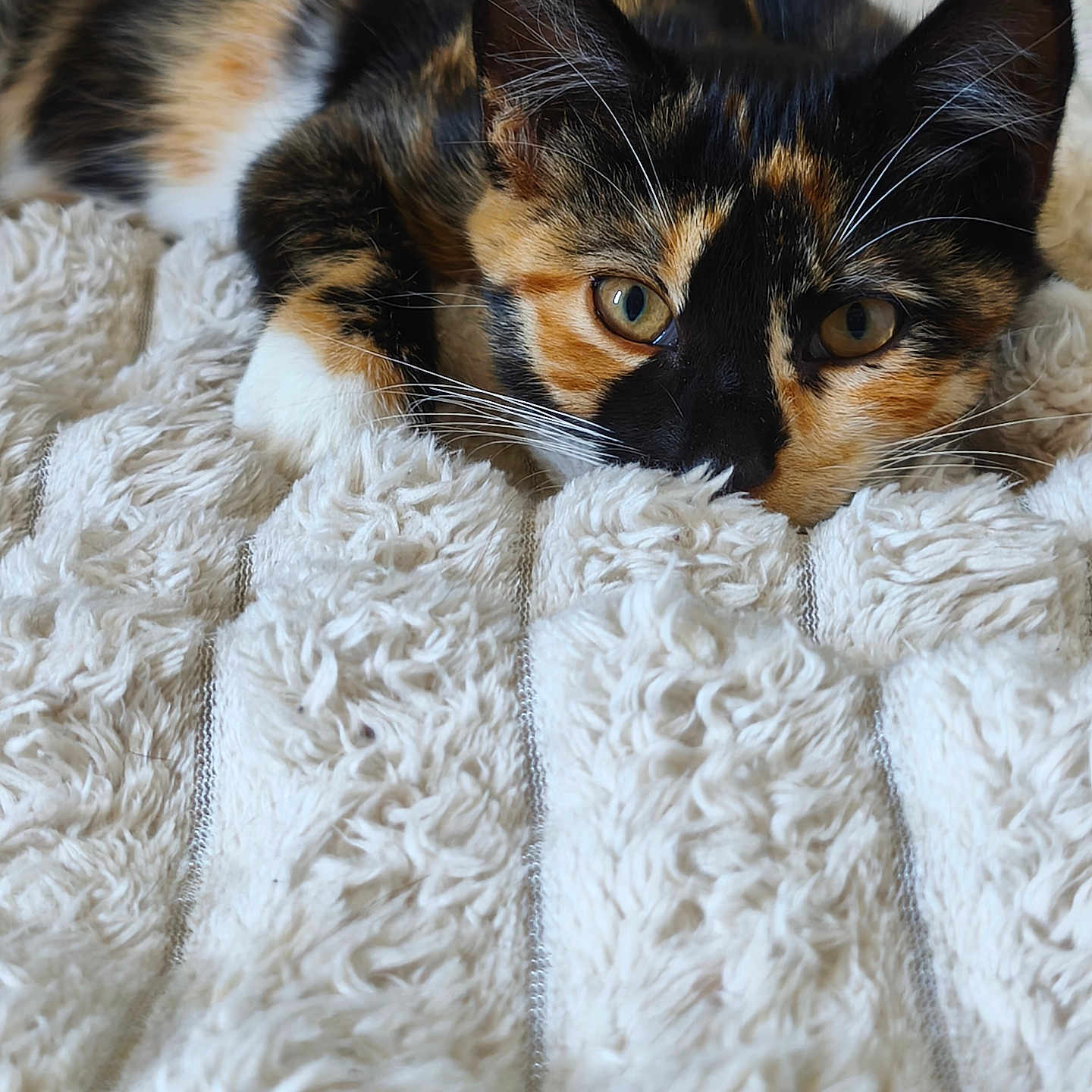 Freyja