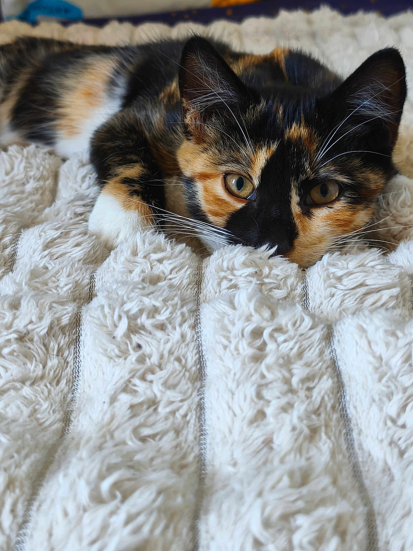 Freyja