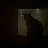 Sir Santana joined the competition — help win amazing prizes! cat, silhouette, darkness, night, indoor, window, shadow, mysterious, sitting, profile, feline, animal, backlit, low_light, moody, quiet, portrait, ears, tail, home
