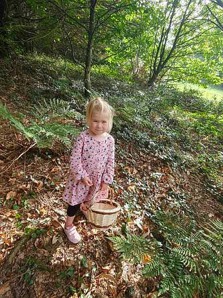 Kayla participe au concours pour gagner de l'argent avec cette photo : baby, branch, deciduous, fawn, forest, grass, groundcover, jungle, landscape, natural_landscape, people_in_nature, person, plant, soil, temperate_broadleaf_and_mixed_forest, terrestrial_plant, toddler, tree, trunk, wood