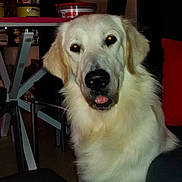 Joker a rejoint le concours — aidez-le/la à gagner de superbes lots !