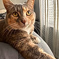 Caitlin C.