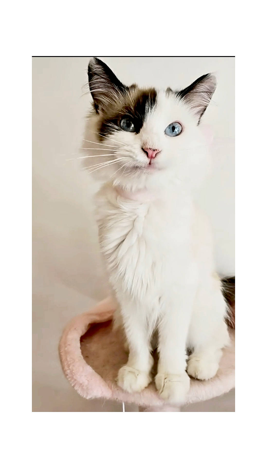 Lennon