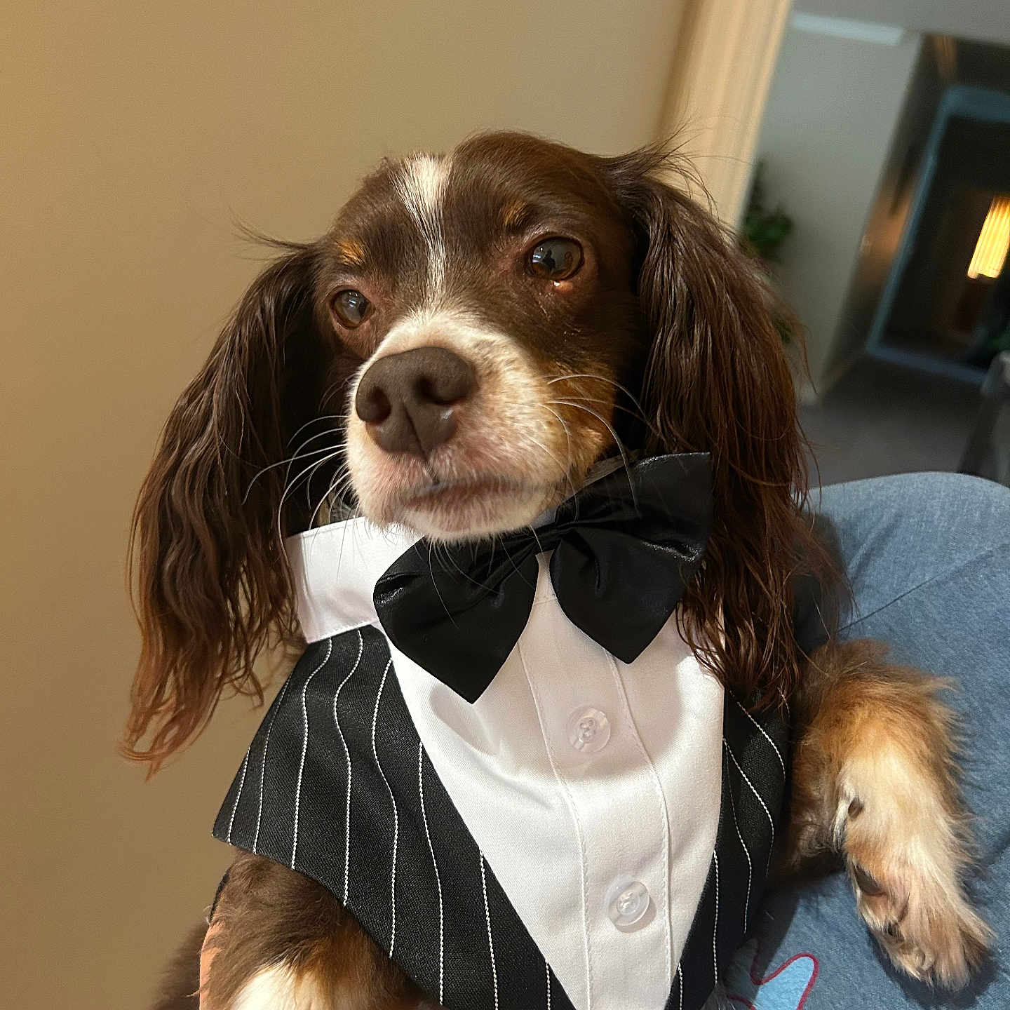 Max