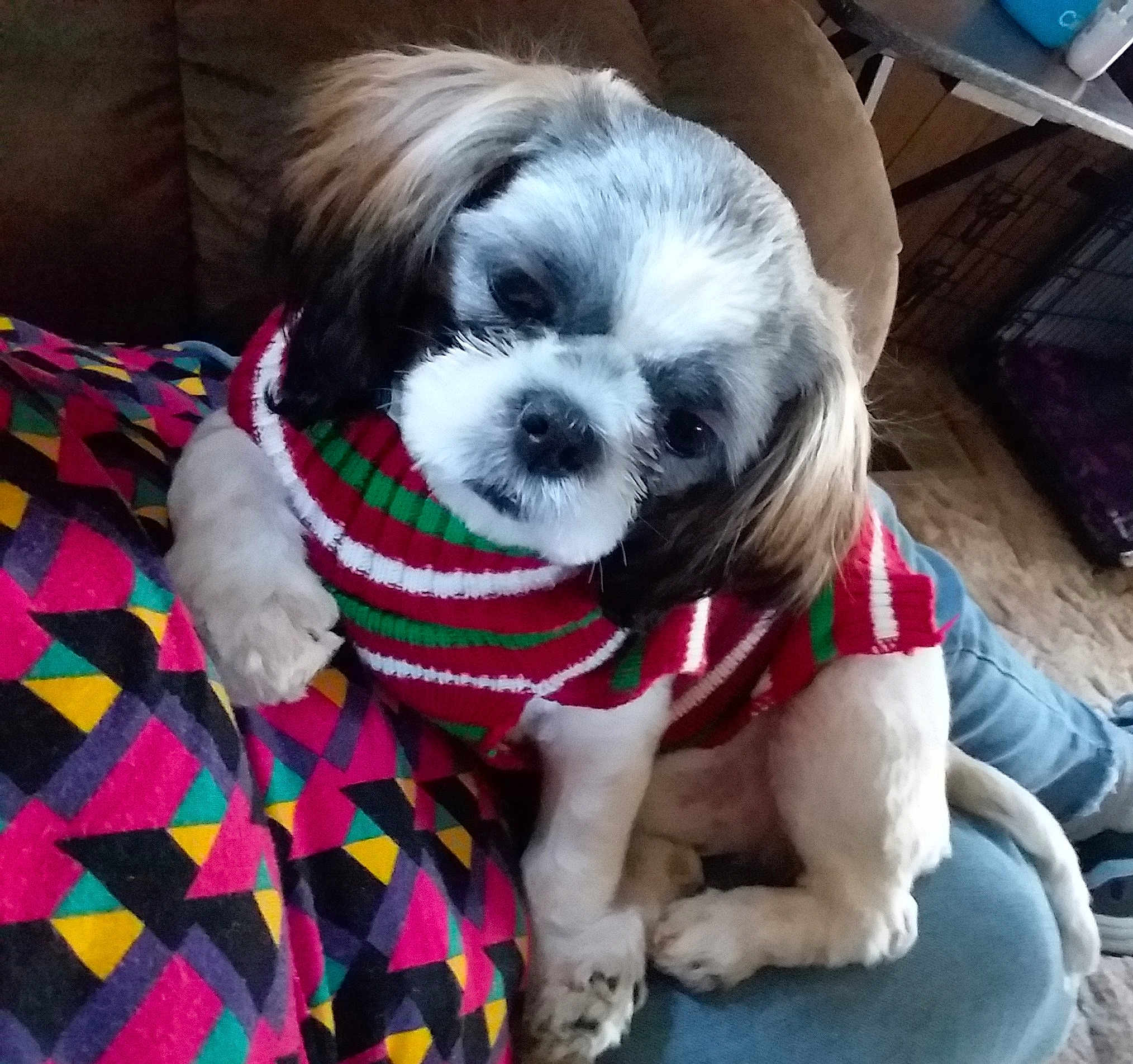 Abby