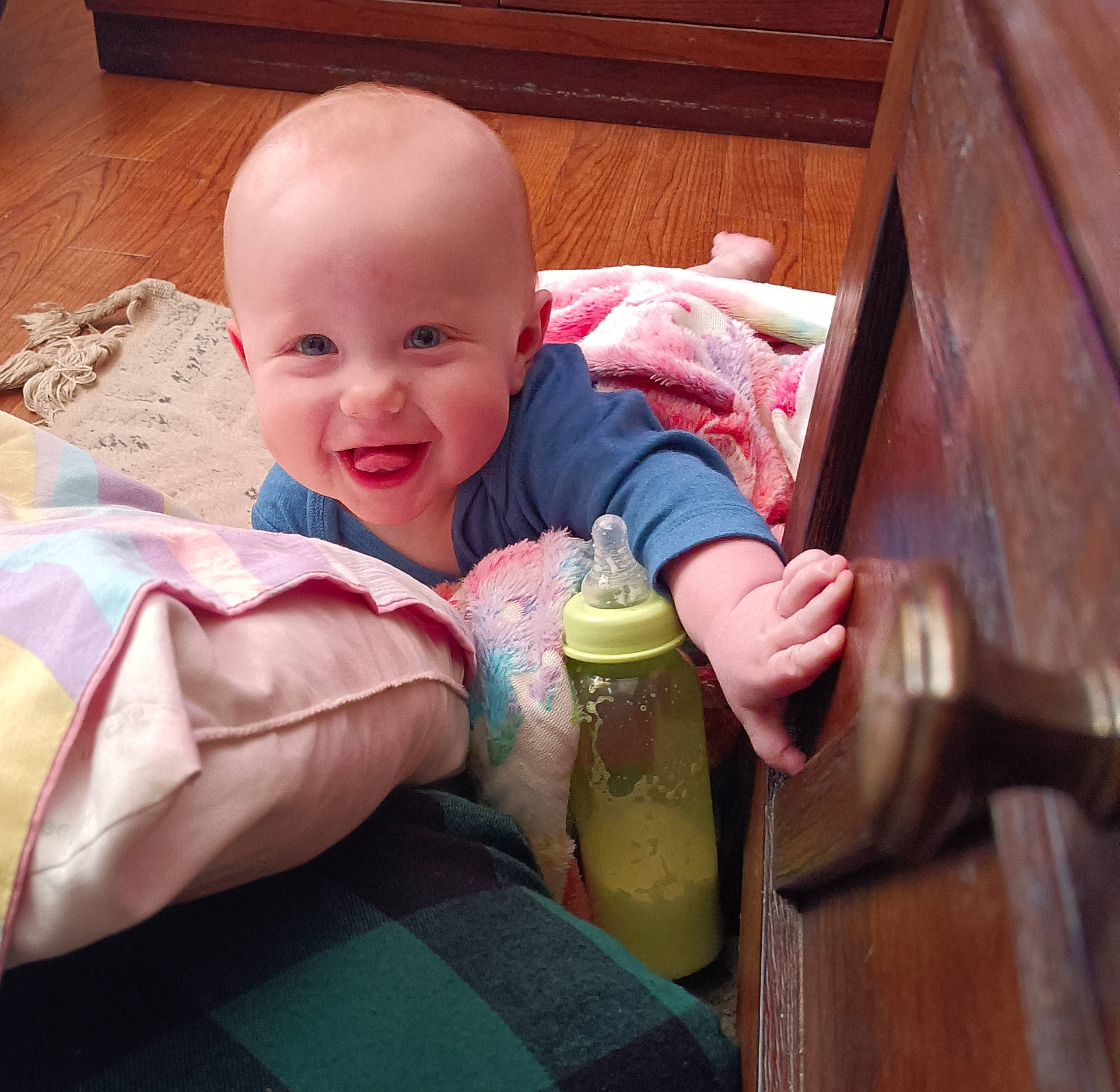 baby, bodypart, bottle, couch, device, face, finger, furniture, hammer, hand, happy, hardwood, head, indoors, interiordesign, person, photography, portrait, tool, wood