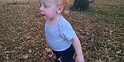 Henry joined the competition — help win amazing prizes! toddler, child, outdoor, nature, trees, leaves, grass, pants, shirt, walking, exploring, fall, autumn, young_child, person, cute, red_hair, socks, daylight, forest