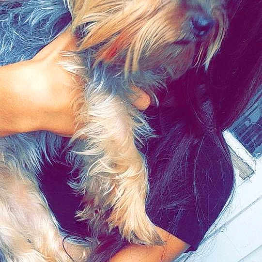 Lili