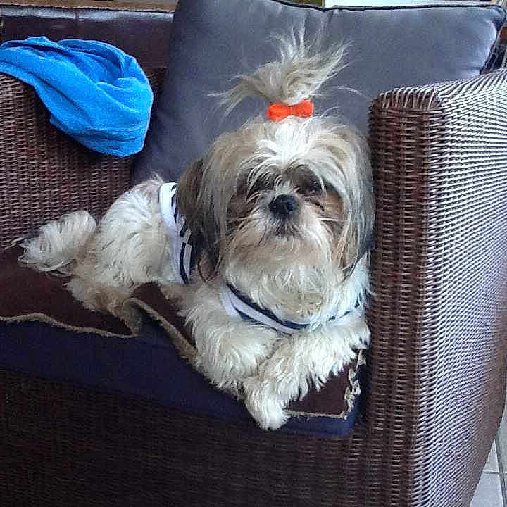 Le Norgant participe au concours pour gagner de l'argent avec cette photo :