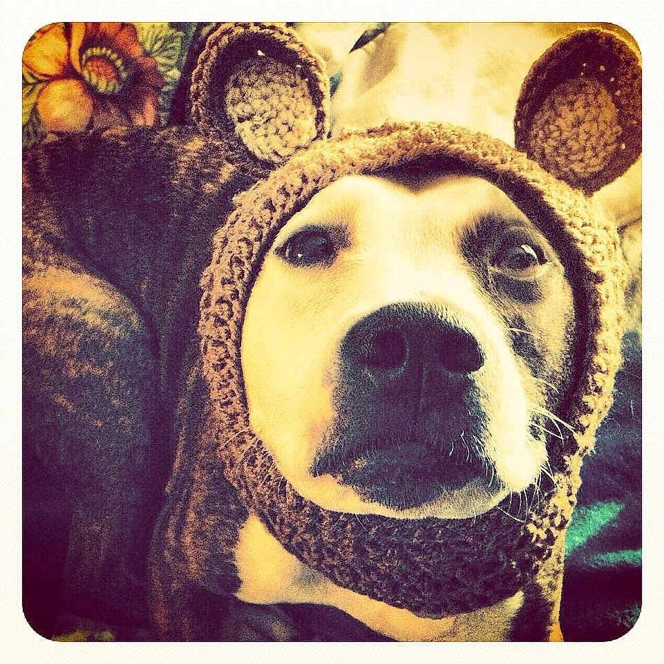 Kyannah Marie is registered to the contest to win money with this photo: