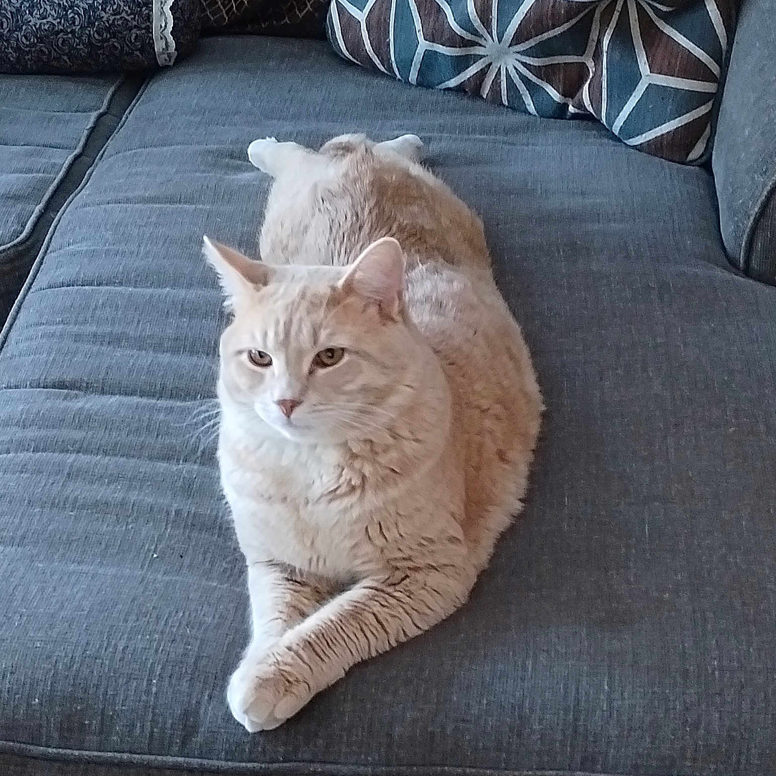 Fluffernutter