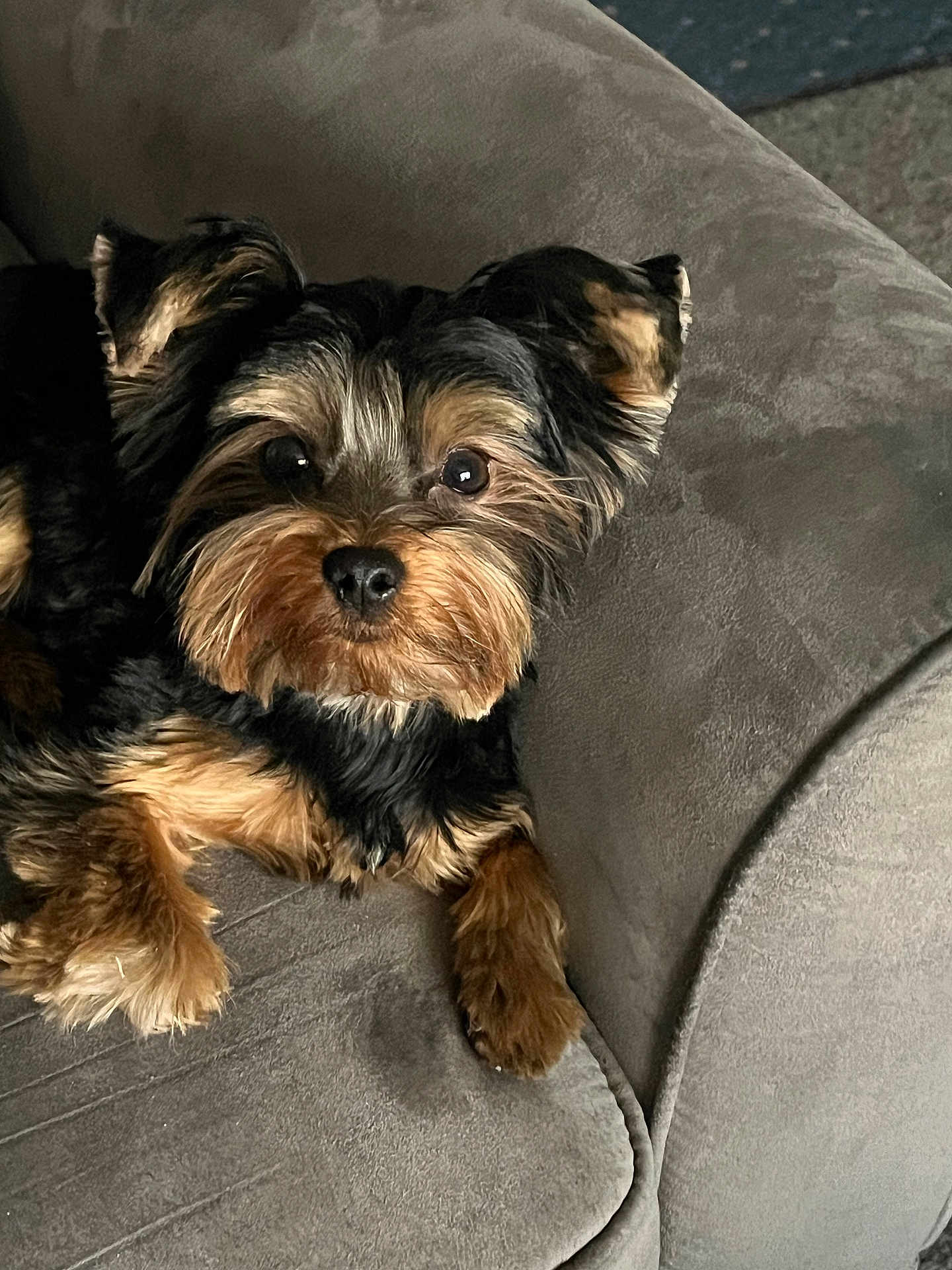 Milo