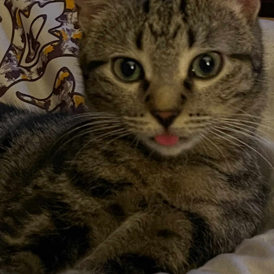 Remi