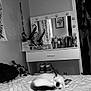 Coco joined the competition — help win amazing prizes! cat, bed, blanket, vanity_table, mirror, shoes, closet, clothes, bottle, curtain, drawing, room, furniture, sleeping, black_and_white, indoor, pet, cozy, relaxing, home