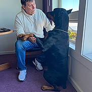 Rolo joined the competition — help win amazing prizes! man, dog, indoors, window, purple_carpet, white_hoodie, blue_jeans, sneakers, sunglasses, chair, table, holding_paws, large_dog, doberman, natural_light, interaction, pet, casual_clothing, home, curtains