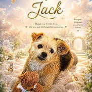 Jack joined the competition — help win amazing prizes! angelic, animal, brown_and_white, butterflies, clouds, dog, dove, flowers, fluffy, garden, memorial, pet, portrait, puppy, rainbow, small_dog, teddy_bear, text_overlay, toy, tribute