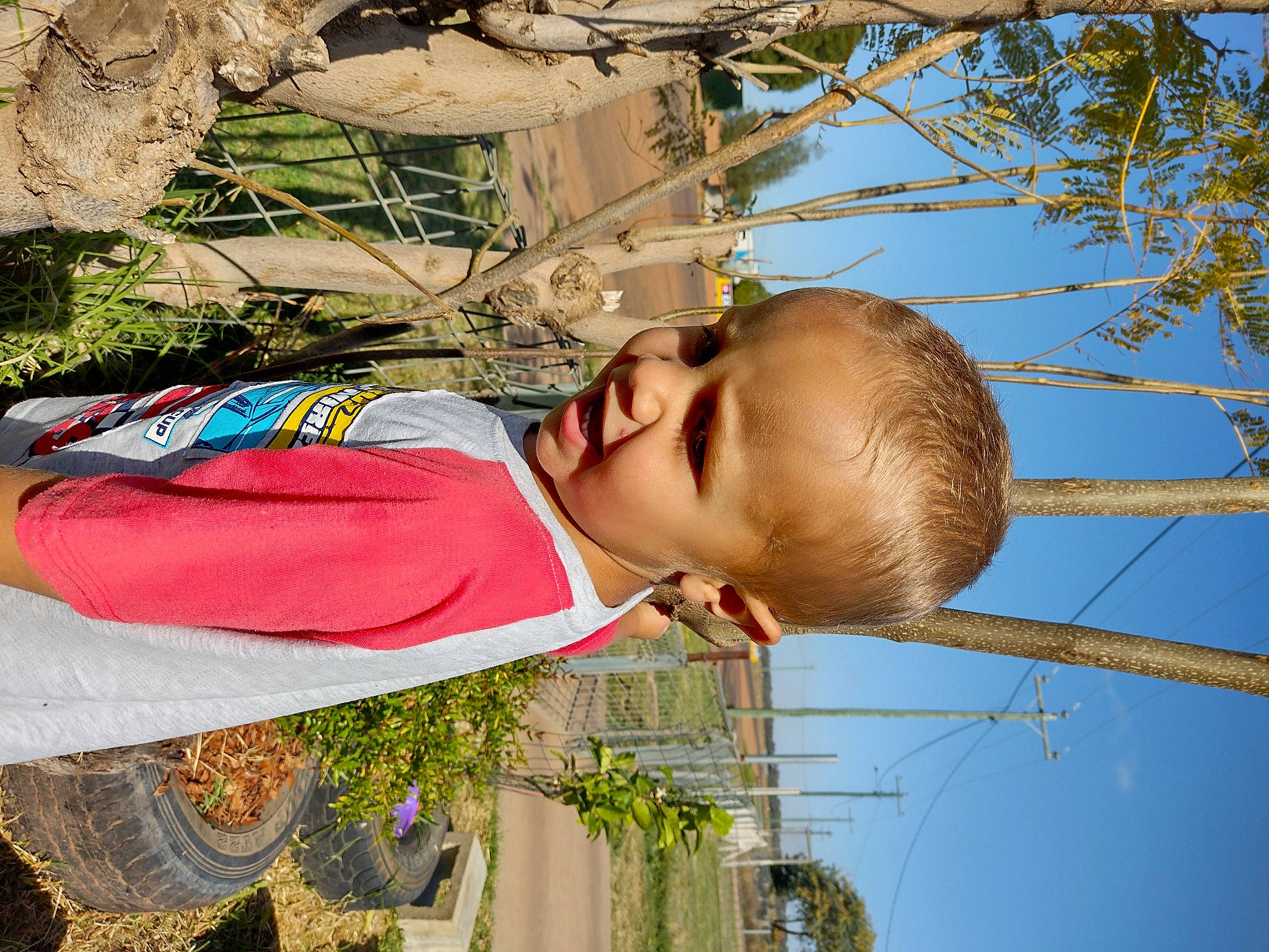 Trent is registered to the contest to win money with this photo: baby, branch, child, daytime, fun, grass, happy, leaf, leisure, light, nose, people_in_nature, person, photograph, plant, sky, spring, toddler, tree, twig