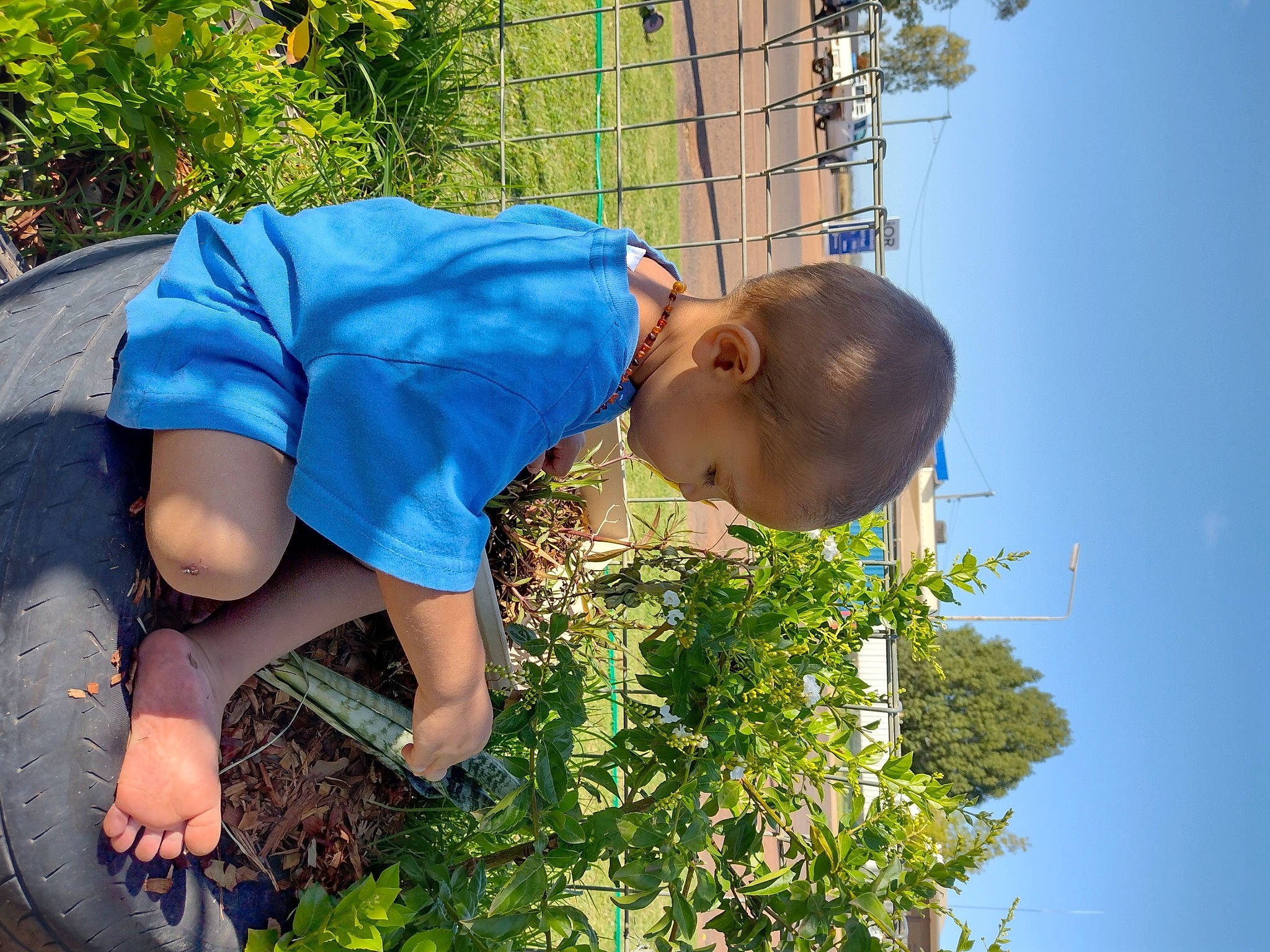 Dhecklin joined the competition — help win amazing prizes! adaptation, azure, daytime, electric_blue, fun, grass, grass_family, happy, leisure, morning, nature, people_in_nature, person, plant, shorts, sky, soil, sunlight, t_shirt, thigh