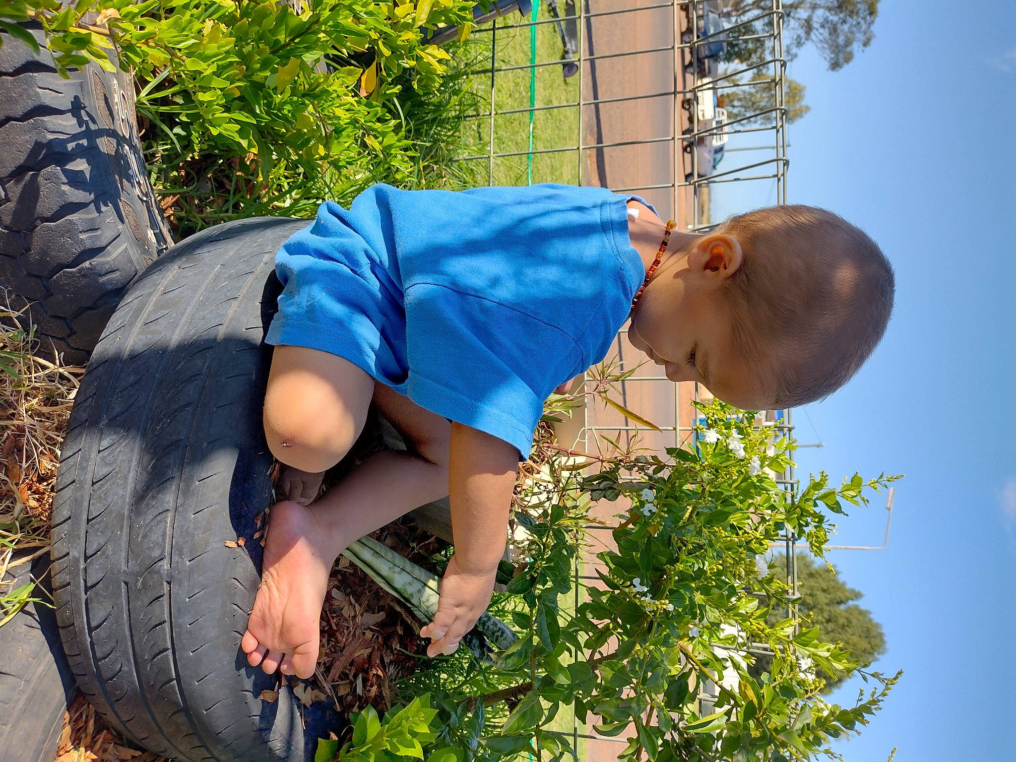 Dhecklin joined the competition — help win amazing prizes! adaptation, azure, botany, grass, happy, hat, human, leaf, leisure, morning, people_in_nature, person, plant, shorts, sky, summer, sunlight, t_shirt, thigh, woody_plant