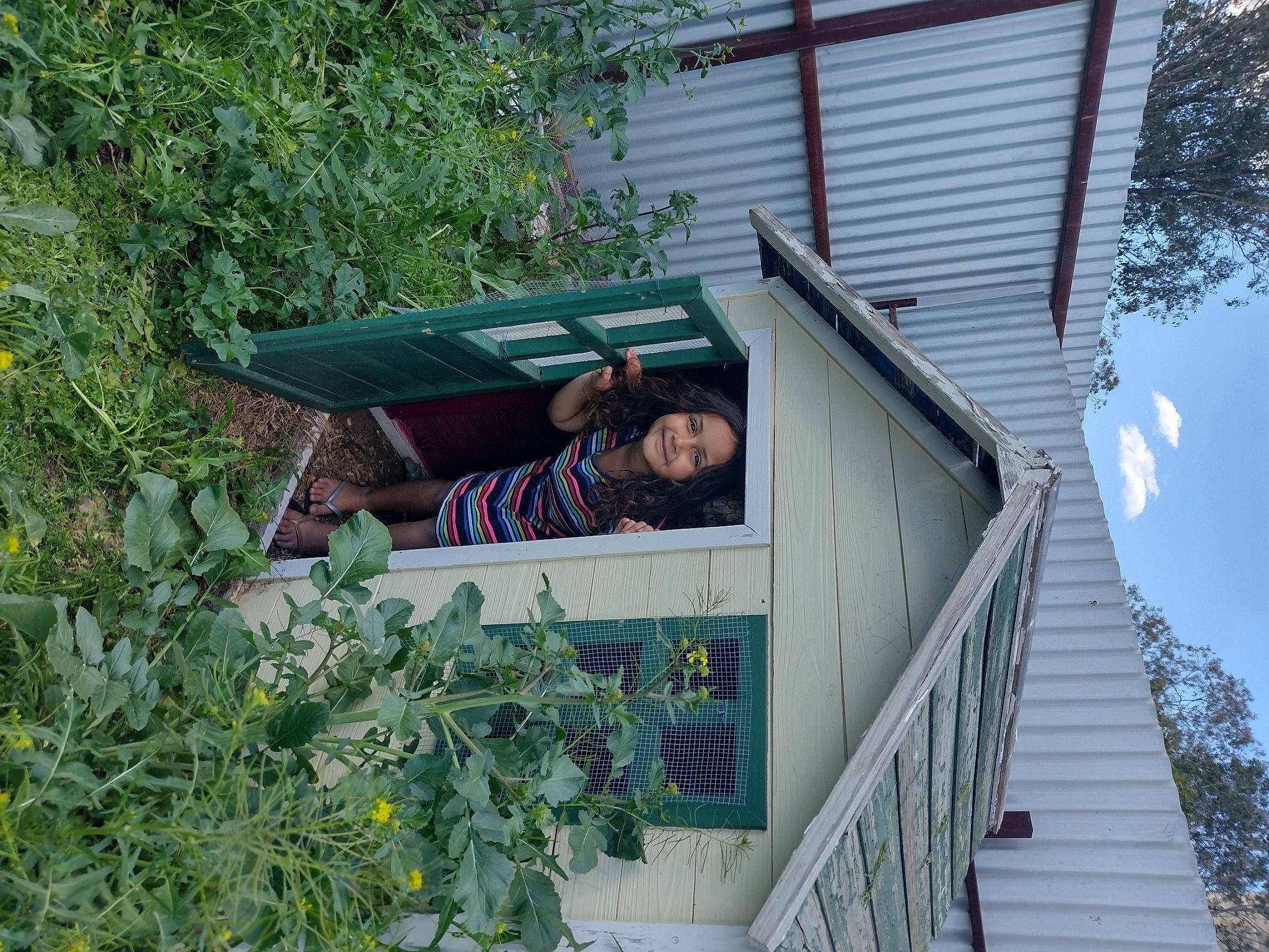 Taurey is registered to the contest to win money with this photo: apartment, balcony, building, cottage, facade, fun, home, house, joy, leisure, mixed_use, person, plant, roof, siding, sky, smile, t_shirt, tree, window