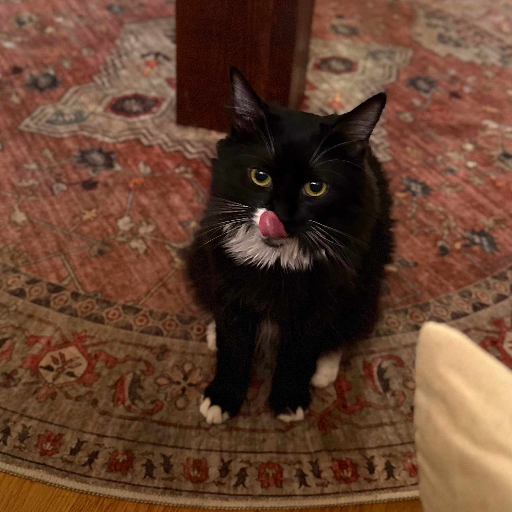 Nala