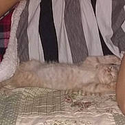 Angel joined the competition — help win amazing prizes! arm, bed, furniture, hand, leg, magenta